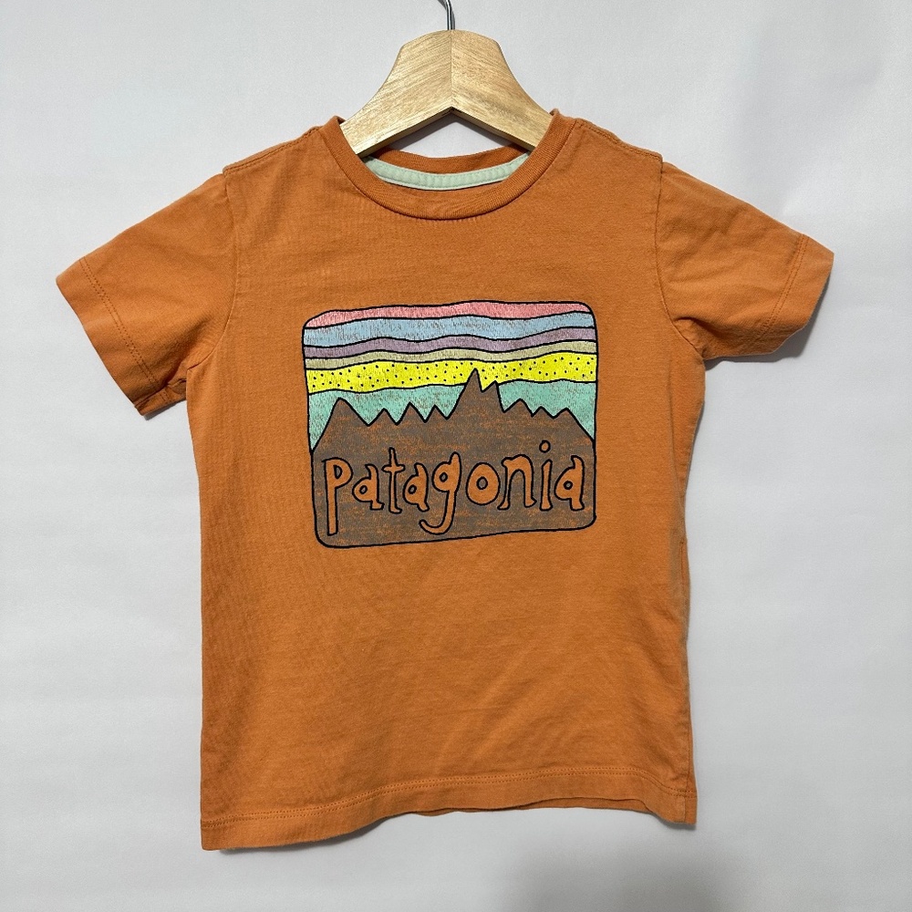 Unisex Patagonia Logo Fitz Roy Skies T-shirt